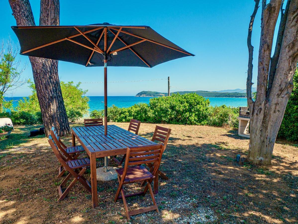 Villa Tanaquilla Baratti Ngoại thất bức ảnh